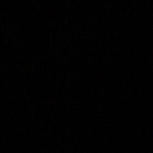 Meet your Posher, Priya